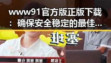 www91官方版正版下载:确保安全稳定的最佳选择