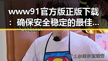 www91官方版正版下载:确保安全稳定的最佳选择