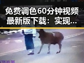 免费调色60分钟视频最新版下载:实现专业调色工具的便捷获取