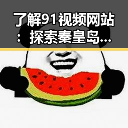了解91视频网站：探索秦皇岛市的在线视频平台