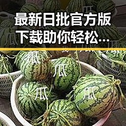 最新日批官方版下载助你轻松获取明星壁纸