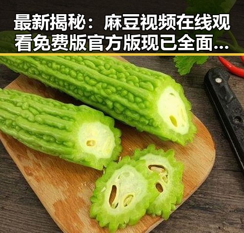 最新揭秘：麻豆视频在线观看免费版官方版现已全面上线