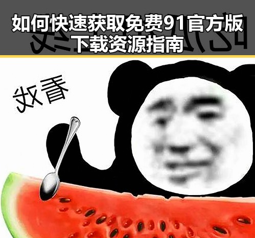 如何快速获取免费91官方版下载资源指南