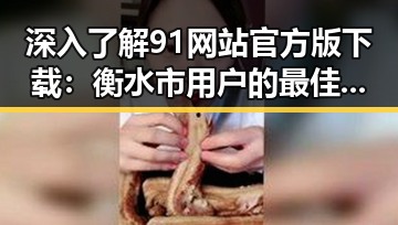 深入了解91网站官方版下载：衡水市用户的最佳选择