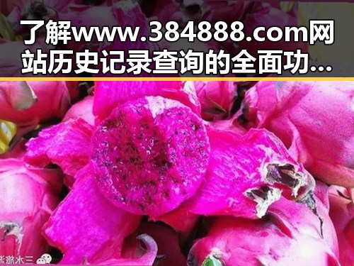 了解 www.384888.com网站历史记录查询的全面功能与应用