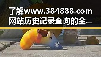 了解 www.384888.com网站历史记录查询的全面功能与应用