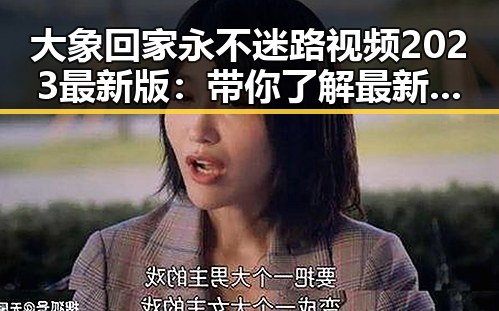 大象回家永不迷路视频2023最新版:带你了解最新的温馨故事