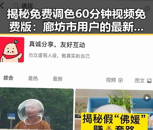 揭秘免费调色60分钟视频免费版：廊坊市用户的最新选择