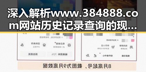 深入解析www.384888.com网站历史记录查询的现状与趋势