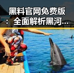 黑料 官网免费版：全面解析黑河市相关信息