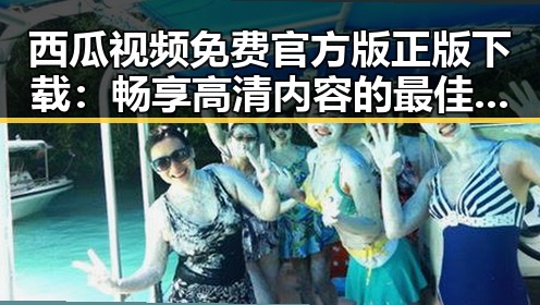 西瓜视频免费官方版正版下载：畅享高清内容的最佳选择