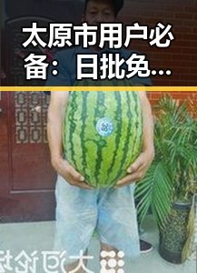 太原市用户必备:日批免费版下载指南