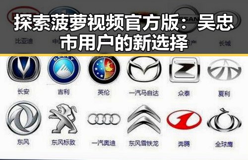 探索菠萝视频官方版:吴忠市用户的新选择