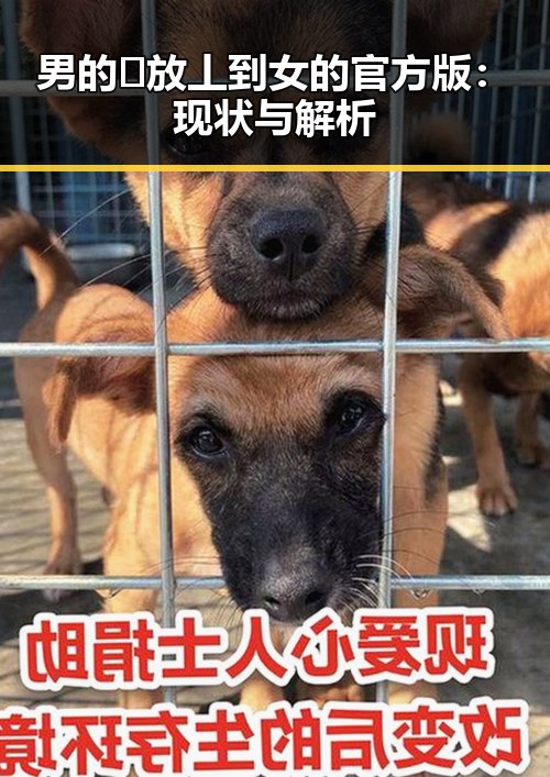 男的🈚放丄到女的官方版：现状与解析