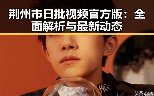 荆州市日批视频官方版：全面解析与最新动态