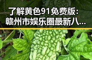 了解黄色91免费版:赣州市娱乐圈最新八卦资讯