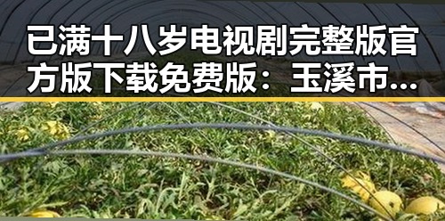 已满十八岁电视剧完整版官方版下载免费版:玉溪市粉丝热切关注
