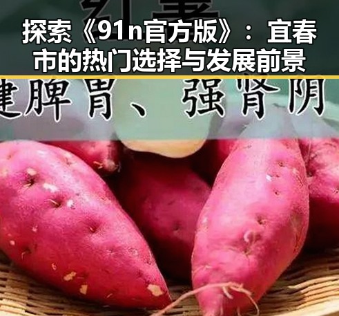 探索《91n官方版》：宜春市的热门选择与发展前景