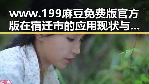 www.199麻豆免费版官方版在宿迁市的应用现状与分析