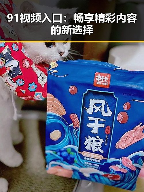 91视频入口:畅享精彩内容的新选择
