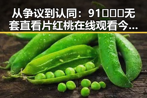 从争议到认同：91❌❌❌无套直看片红桃在线观看今免费版的现状与发展