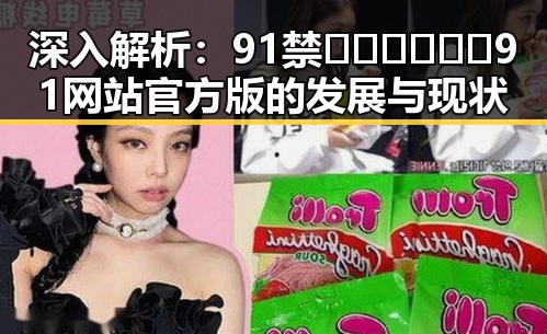 深入解析：91禁🍆🍑🔞❌❌❌91网站官方版的发展与现状
