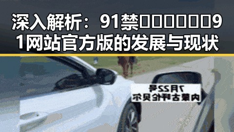 深入解析：91禁🍆🍑🔞❌❌❌91网站官方版的发展与现状