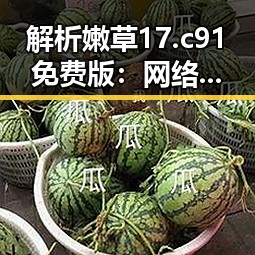 解析嫩草17.c 91免费版：网络新潮背后的现象与反思