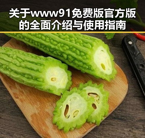 关于www91免费版官方版的全面介绍与使用指南