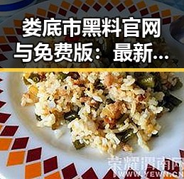 娄底市黑料 官网与免费版：最新动态全解读