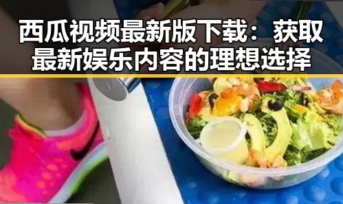 西瓜视频最新版下载：获取最新娱乐内容的理想选择