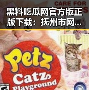 黑料吃瓜网官方版正版下载：抚州市网友关注的最新版本解析