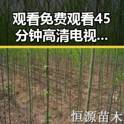 观看 免费观看45分钟高清电视动漫官方版下载免费版：铜仁市最新推荐