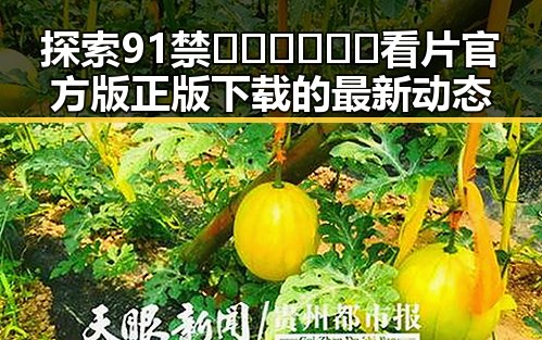 探索91禁🍆🍑🔞❌❌❌看片官方版正版下载的最新动态