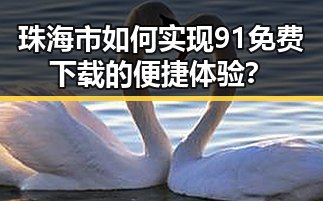 珠海市如何实现91免费下载的便捷体验？