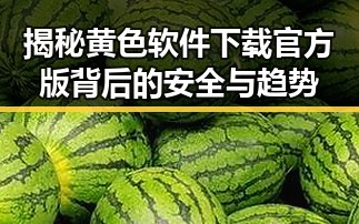揭秘黄色软件下载官方版背后的安全与趋势