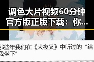调色大片视频60分钟官方版正版下载：你不能错过的视觉盛宴