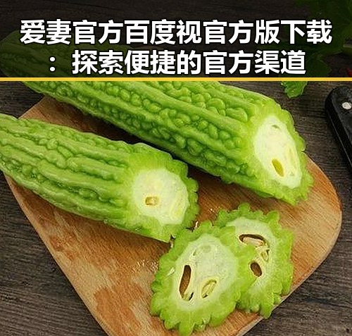 爱妻官方百度视官方版下载：探索便捷的官方渠道