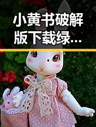 小黄书破解版下载绿色版：探索合法资源与安全保障