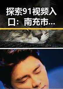 探索91视频入口：南充市的便捷观看体验