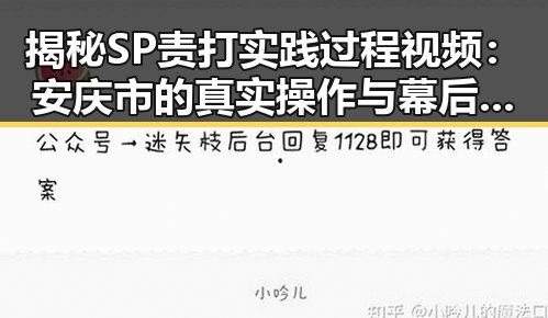 揭秘SP责打实践过程视频：安庆市的真实操作与幕后细节
