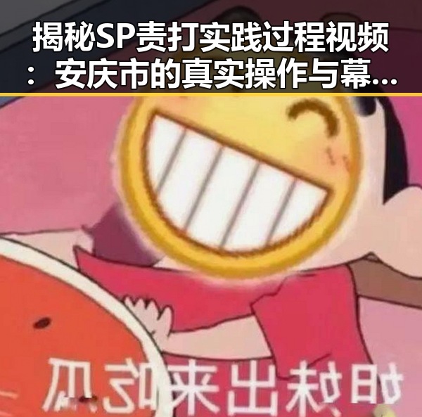 揭秘SP责打实践过程视频：安庆市的真实操作与幕后细节