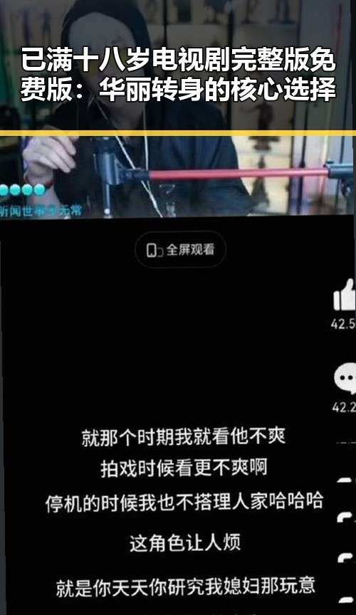 已满十八岁电视剧完整版免费版：华丽转身的核心选择