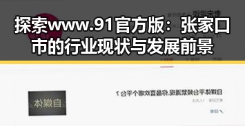探索 www.91官方版：张家口市的行业现状与发展前景