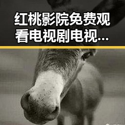 红桃影院免费观看电视剧电视剧高清免费版下载：畅享高清影视新体验