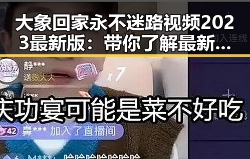 大象回家永不迷路视频2023最新版：带你了解最新的动物保护视频