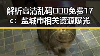 解析高清乱码🔞❌♋免费17c：盐城市相关资源曝光