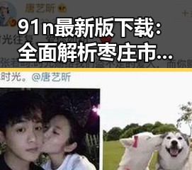 91n最新版下载：全面解析枣庄市最新版本的特色亮点