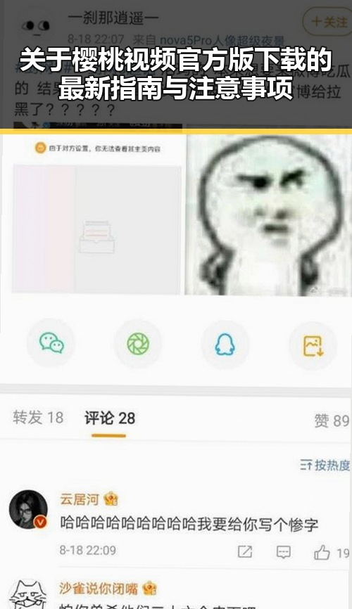 关于樱桃视频官方版下载的最新指南与注意事项
