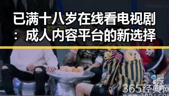 已满十八岁在线看电视剧:成人内容平台的新选择